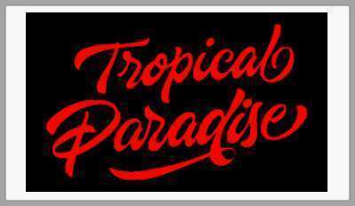 Tropical Paradise